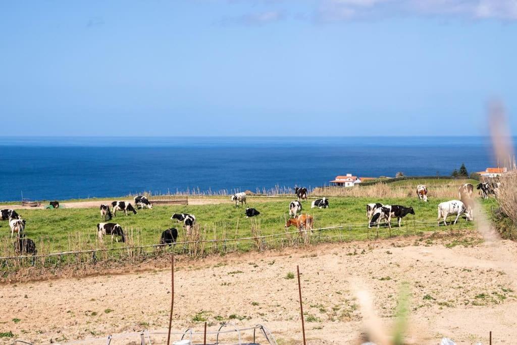 Country House In Azores - S. Miguel Ribeira Grande Bagian luar foto