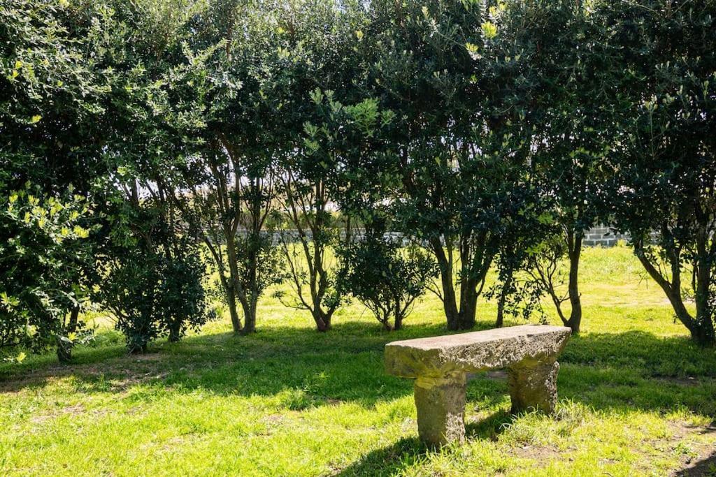 Country House In Azores - S. Miguel Ribeira Grande Bagian luar foto