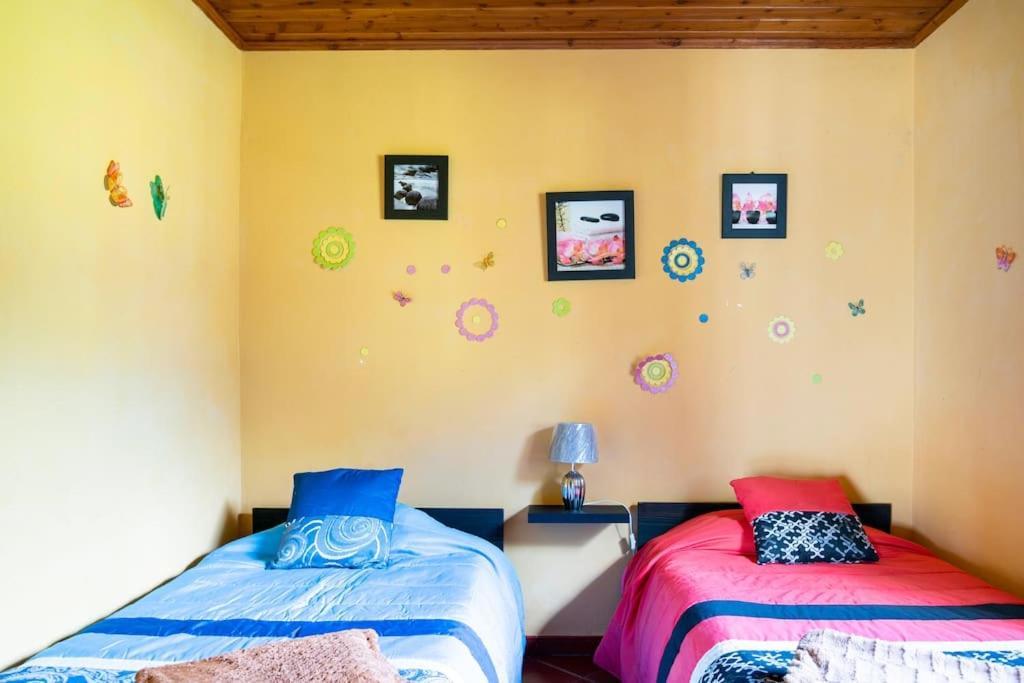 Country House In Azores - S. Miguel Ribeira Grande Bagian luar foto